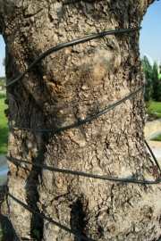 Warmtekabel 100 meter (met ingebouwde thermostaat)