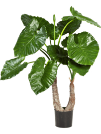 Alocasia Calidora (Olifantsoor) kunstplant - hoogte 100 cm