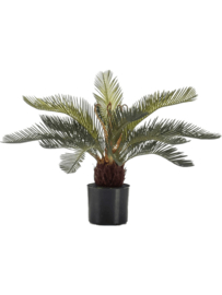 Cycas palmboom kunstplant - hoogte 55 cm