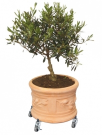 Plantentrolley `Florence` D32-47 cm. Belastbaar tot 100 kilo.