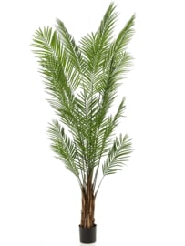 Areca palmboom kunstplant - hoogte 240 cm