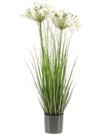 Agapanthus white (Afrikaanse lelie) kunstplant - hoogte 80 cm