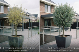 5 zakjes GrowBoost organische meststof voor mediterrane bomen | 15% korting!