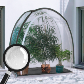 Plantenkas vorstbescherming IGLO -  transparent 175 × 186 × 84  cm (H×B×L)