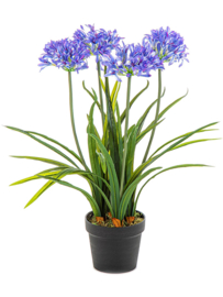 Agapanthus blue (Afrikaanse lelie) kunstplant inclusief pot - hoogte 66 cm