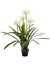 Agapanthus white (Afrikaanse lelie) kunstplant inclusief pot - hoogte 103 cm