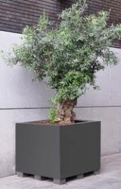 Aluminium plantenbak `Rubik` 700x700x700mm