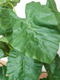 Alocasia (Olifantsoor) kunstplant - hoogte 120 cm