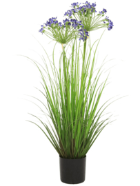 Agapanthus blue (Afrikaanse lelie) kunstplant - hoogte 80 cm