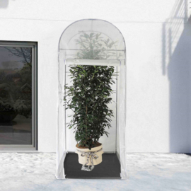 Plantenkas vorstbescherming PALM XL - transparant  250 × 100 x 100  cm (HxBxL)