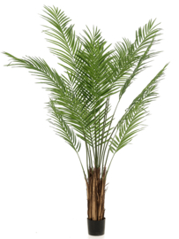 Areca palmboom kunstplant - hoogte 180