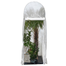 Plantenkas vorstbescherming PALM XL- transparant  250 × 100 x 100  cm (HxBxL)