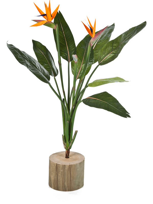 Strelitzia kunstplant (Paradijsvogelplant)