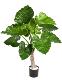 Alocasia Calidora (Olifantsoor) kunstplant - hoogte 80 cm