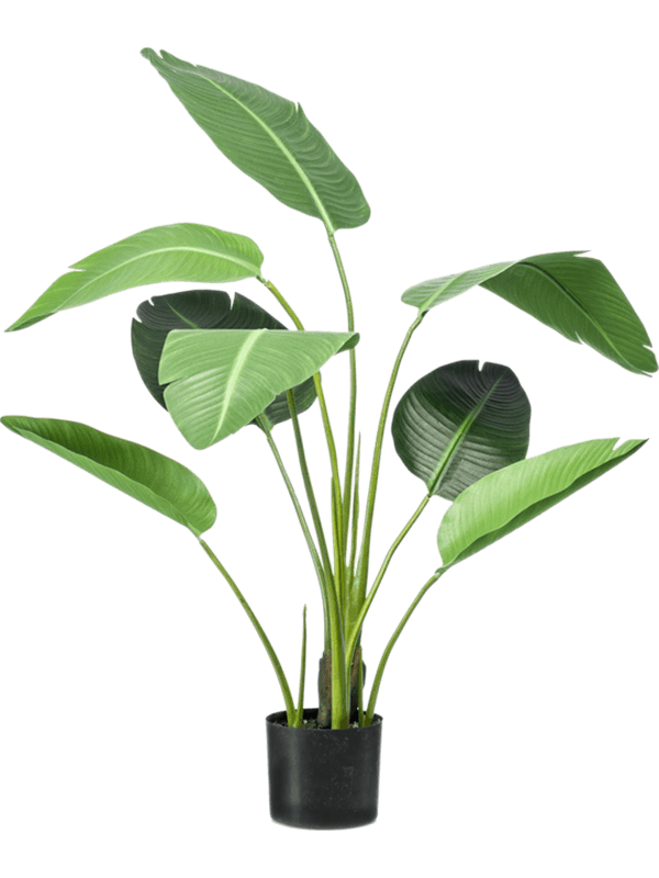 Strelitzia kunstplant (Paradijsvogelplant) H120 x B30 cm