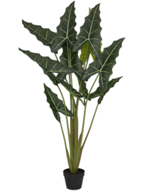 Alocasia Taro M (Olifantsoor) kunstplant - hoogte 120 cm