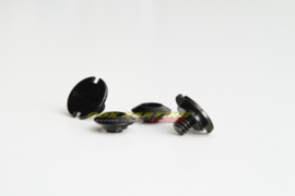 Zamp Z20 Anodized Visor Screws Black