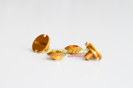 Zamp Z20 Anodized Visor Screws Gold