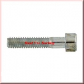 Bout inbus voor CRG remblok verbinding VEN 05 M8x45