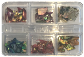 shell design 6 pack