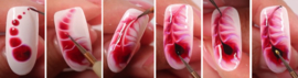 voorbeeld blooming gel + FOTO STAPPENPLAN