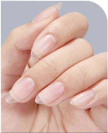 soft gel tips short almond 120 st. (mat)