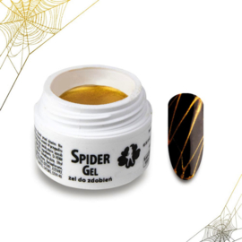 spider gel