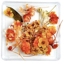 dried flower mix orange