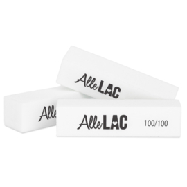 polijstblok premium 10 stuks 100/100 of 240/240