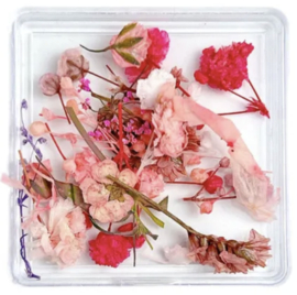 dried flower mix pink