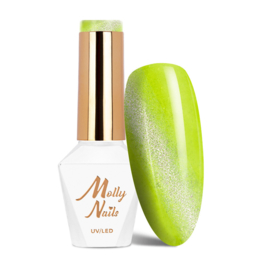 gellak cateye neon flashy 8gr. 178 HEMA vrij