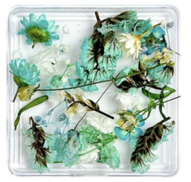 dried flower mix aqua