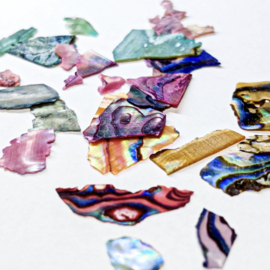 box sea shell stukjes multi
