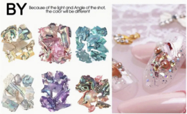 shell design 6 pack