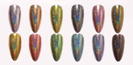 solid holo aser glitter poeder set 2