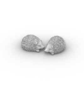 10.104 Hedge Hogs