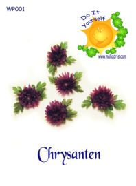 WP001 DIY chrysanten