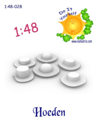 1:48-028 Hoeden