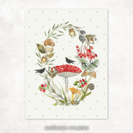 Acufactum || label met paddenstoel in een krans