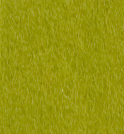 TrueFelt lentegroen 5629