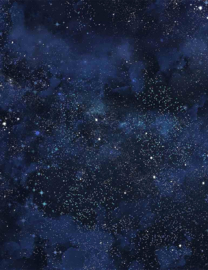 Timeless Treasures || To the Moon - Star-C8349 Twinkling Night Sky