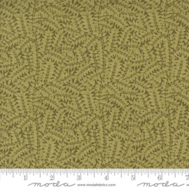 Morris Manor Sage ||  8397 13
