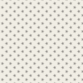 Tiny Star Grey 130039
