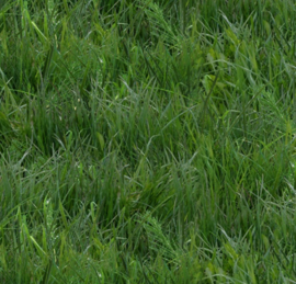 Quiltstof met afbeelding van gras groen 250