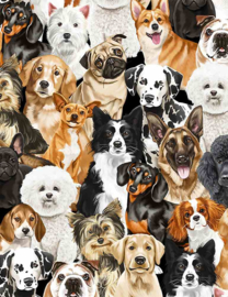 PACKED REALISTIC DOGS GM-CD8553  MULTI