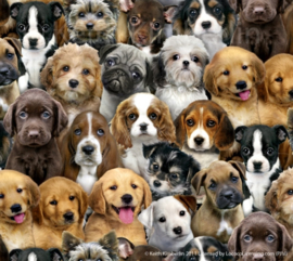 Quiltstof met afbeelding van verschillende hondenrassen 3800