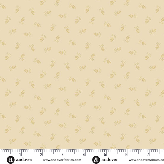 Almond Conifer || 1551 L