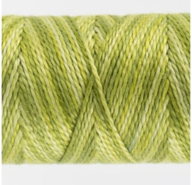 SSEZM12 - Eleganza™ Egyptian Cotton Inchworm Thread #5