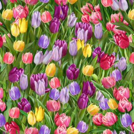 TULIP FIELD DONA-CD3251