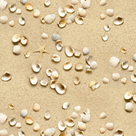 Elizabeth's studio  Quiltstof met strand, zand, schelpen en zeesterren. 555 Sand